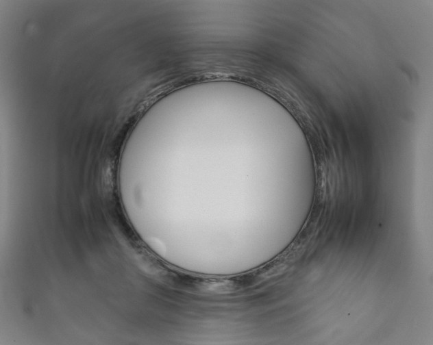 X0000111860410200907231135
