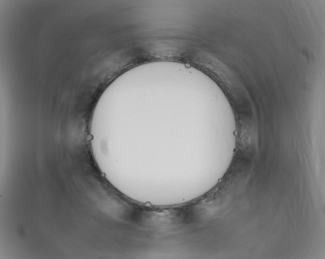 X0000111860411200907231134