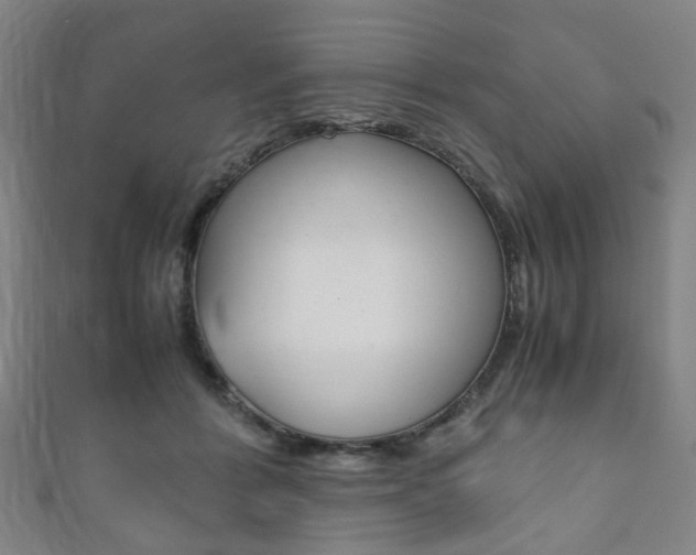 X0000111860412200907231134