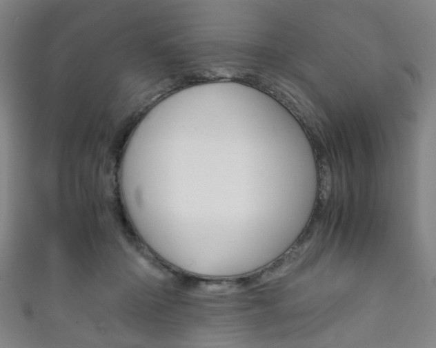 X0000111860414200907231134