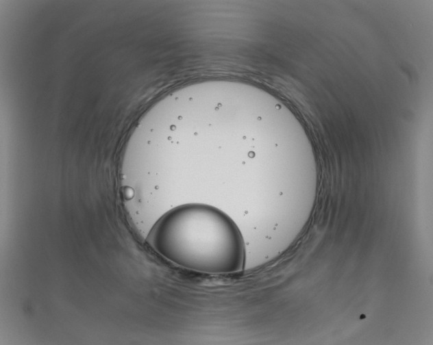 X0000111860415200907231134