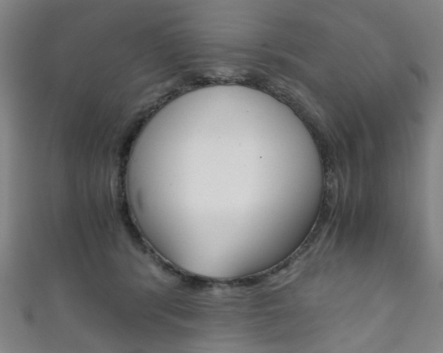 X0000111860416200907231134