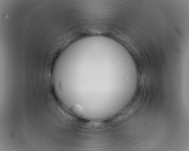 X0000111860418200907231134