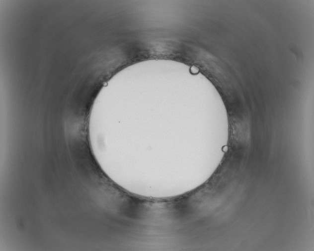X0000111860419200907231134