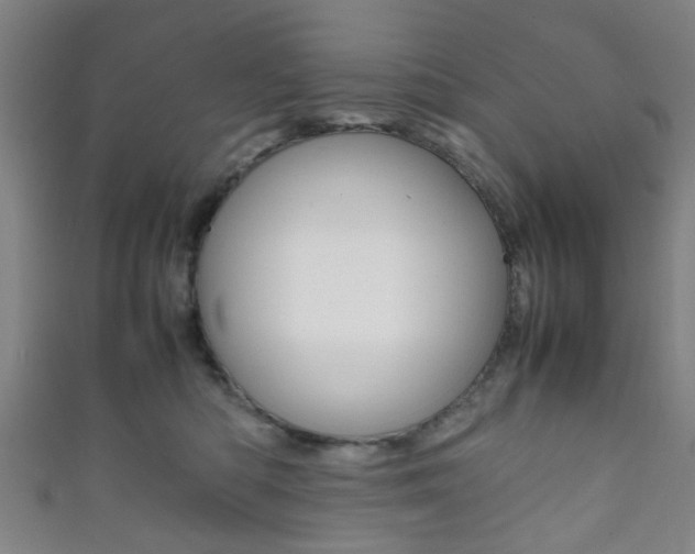 X0000111860422200907231134