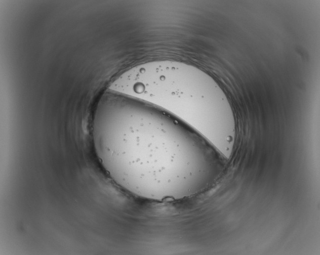 X0000111860424200907231134
