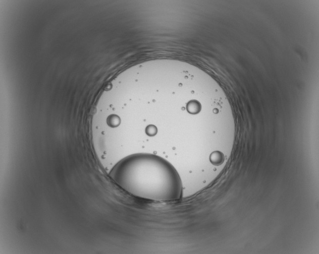 X0000111860425200907231134