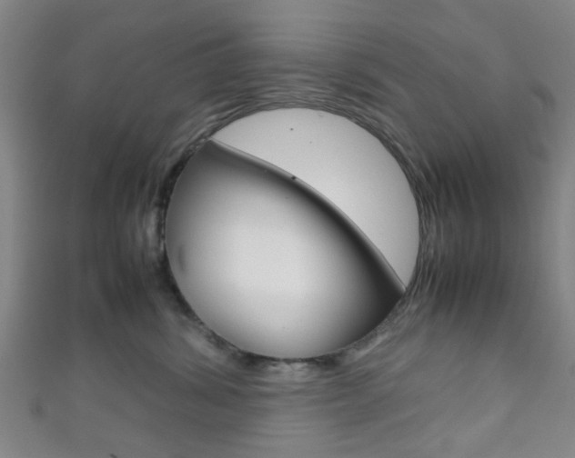 X0000111860428200907231134