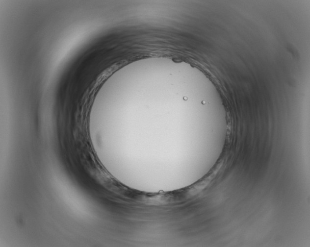 X0000111860430200907231134