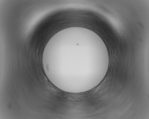 X0000111860431200907231134