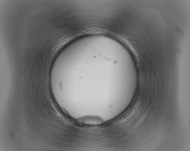 X0000111860433200907231134