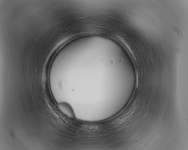 X0000111860435200907231134