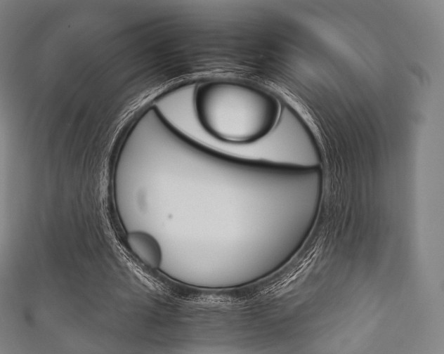 X0000111860437200907231134