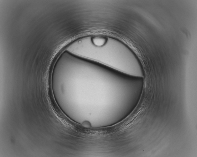 X0000111860438200907231134