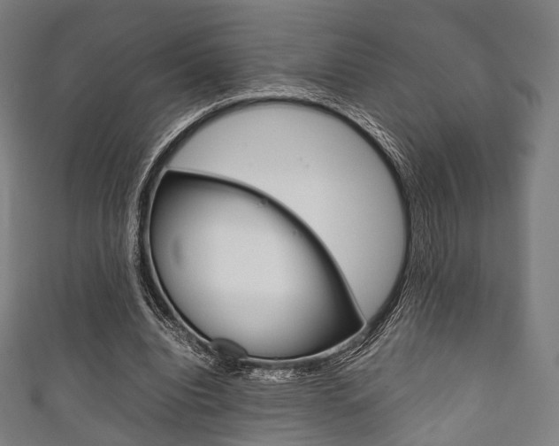 X0000111860440200907231134