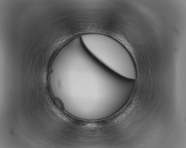 X0000111860441200907231134