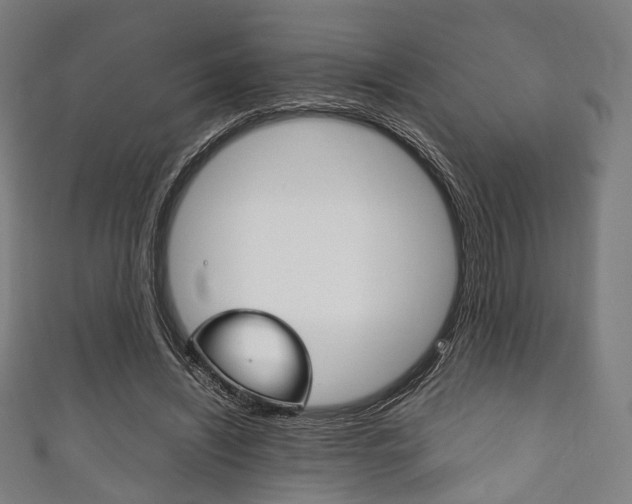 X0000111860444200907231134