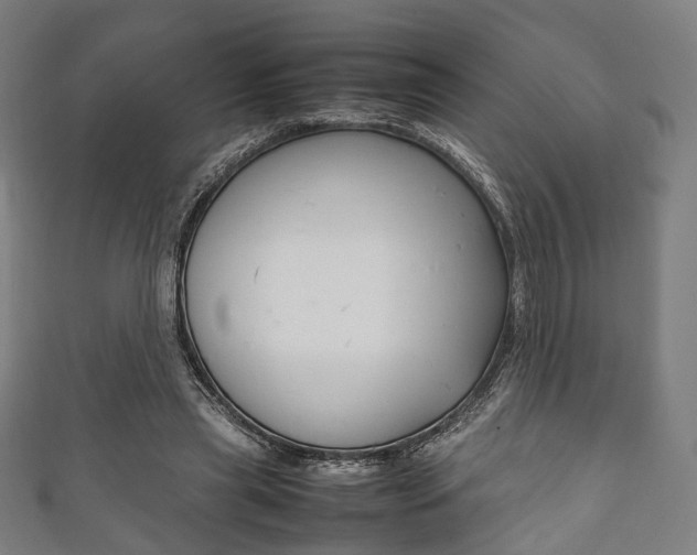 X0000111860445200907231134