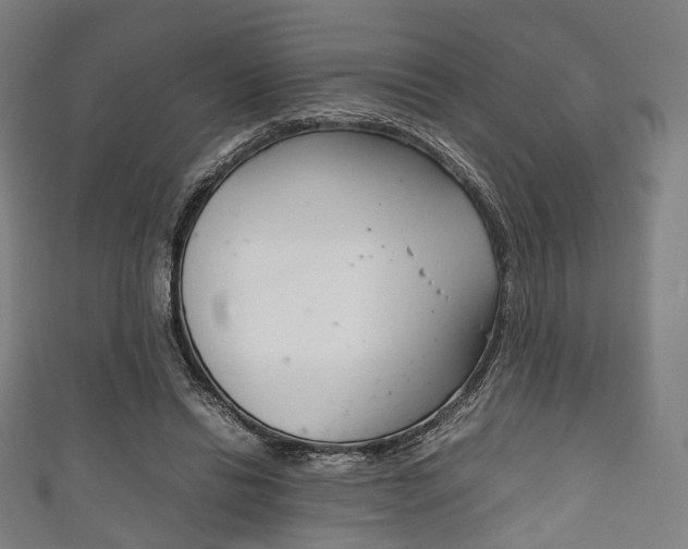 X0000111860446200907231134