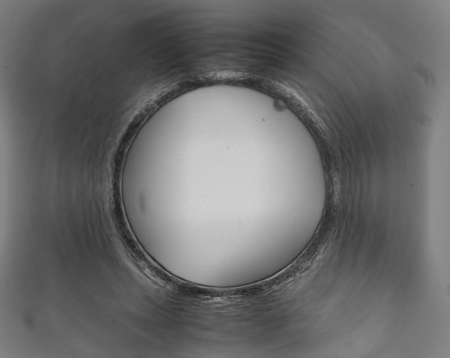X0000111860447200907231134