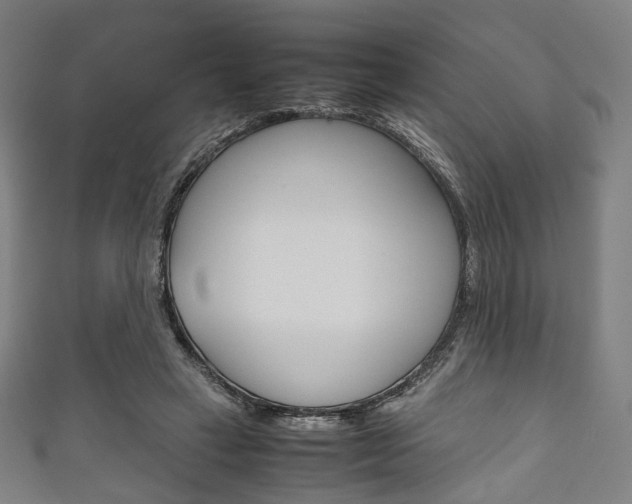 X0000111860449200907231134