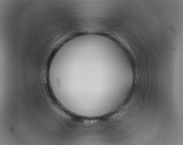 X0000111860450200907231134