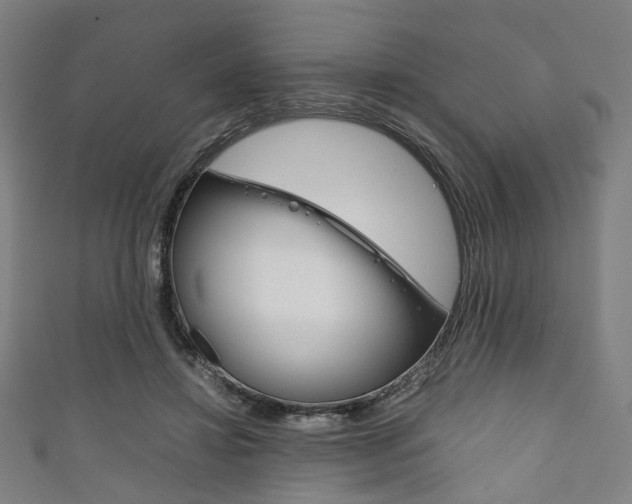 X0000111860452200907231134
