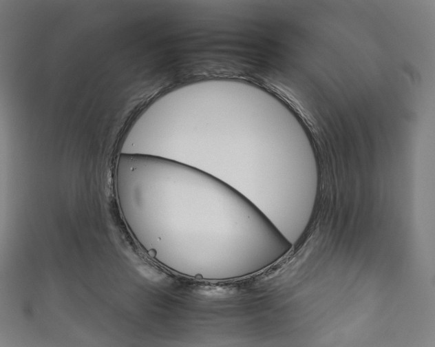 X0000111860453200907231134
