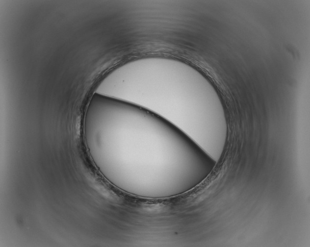 X0000111860454200907231134