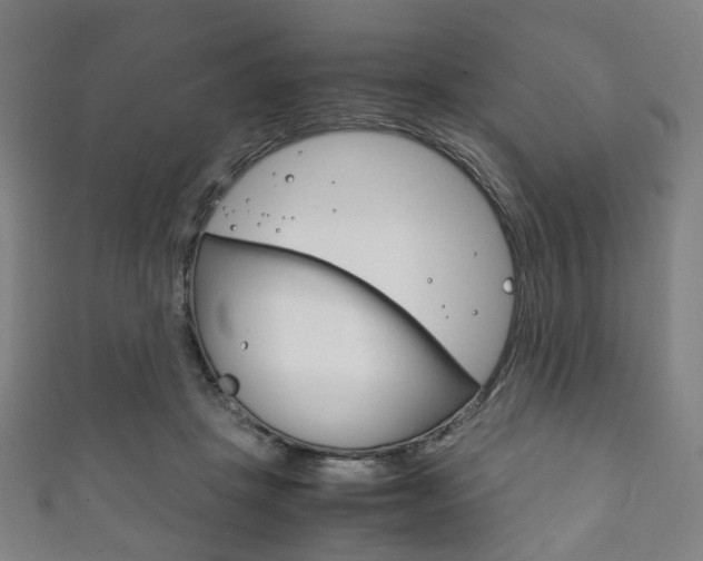 X0000111860457200907231134