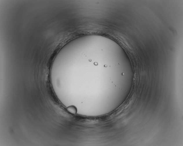 X0000111860458200907231134