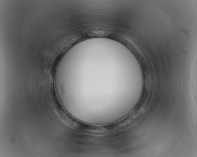 X0000111860459200907231134