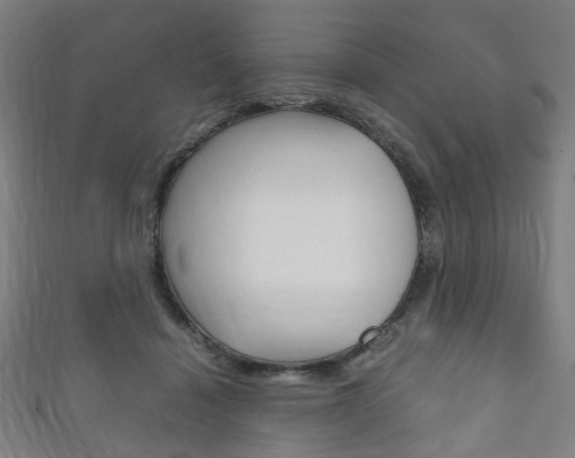 X0000111860460200907231134