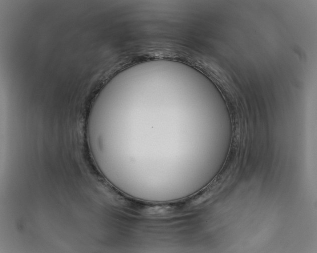 X0000111860461200907231134