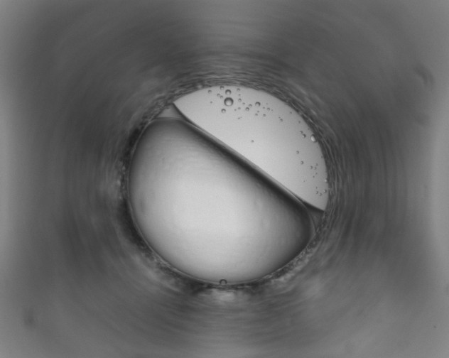 X0000111860464200907231134