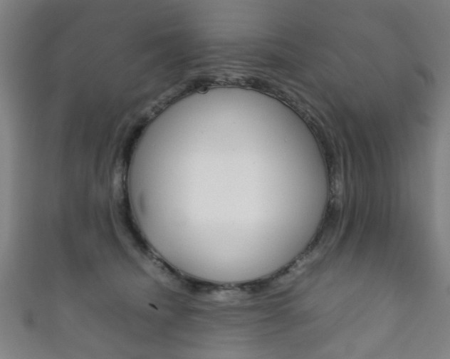 X0000111860468200907231134