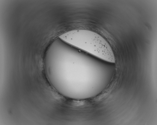 X0000111860469200907231134