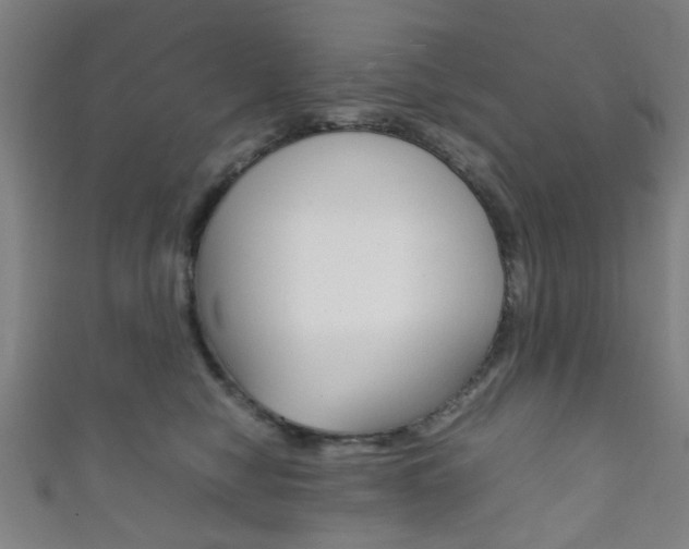 X0000111860470200907231134