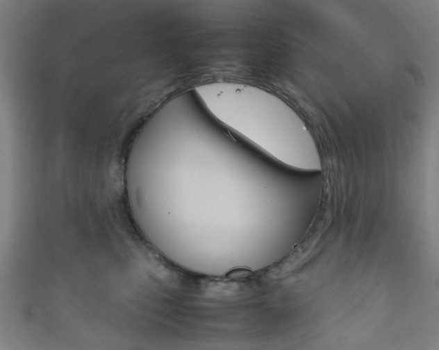 X0000111860471200907231134