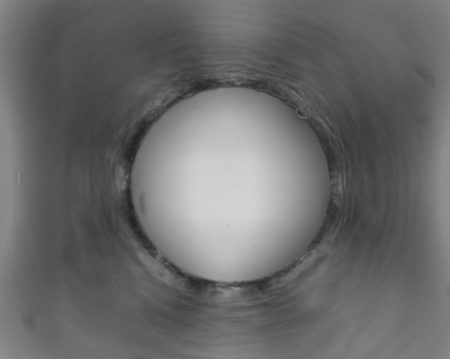 X0000111860472200907231134