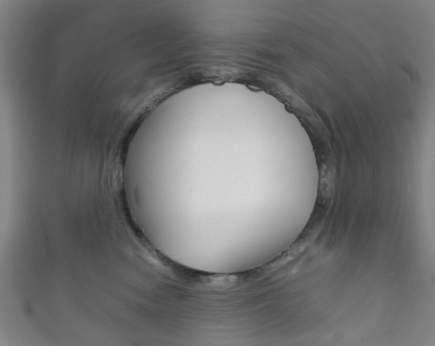 X0000111860474200907231134