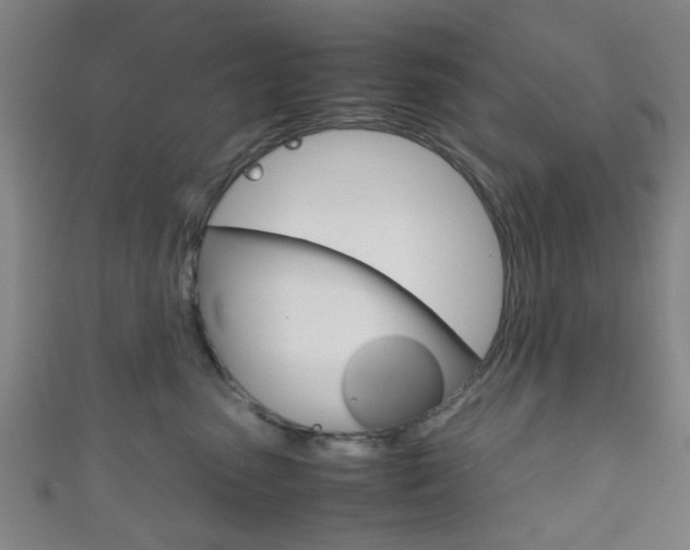 X0000111860475200907231134