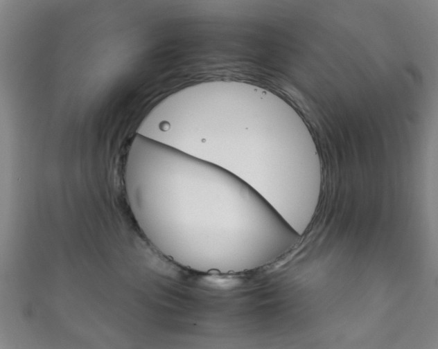 X0000111860477200907231134