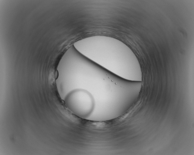 X0000111860478200907231134