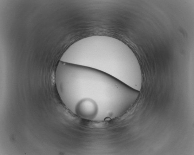 X0000111860479200907231134