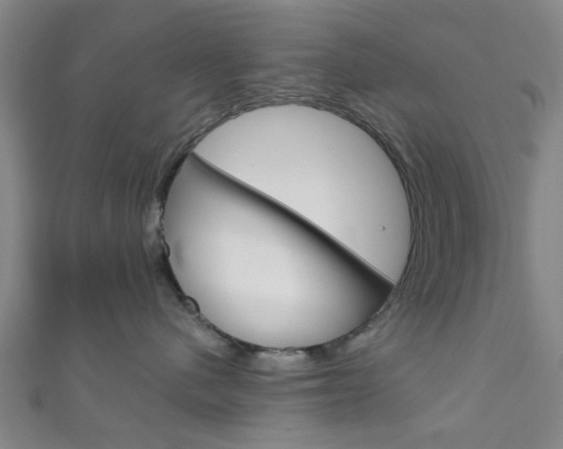 X0000111860480200907231134