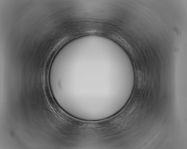 X0000111860482200907231134