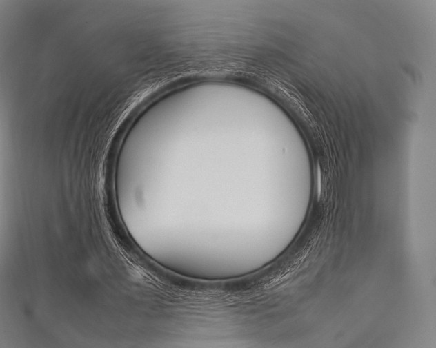 X0000111860483200907231134