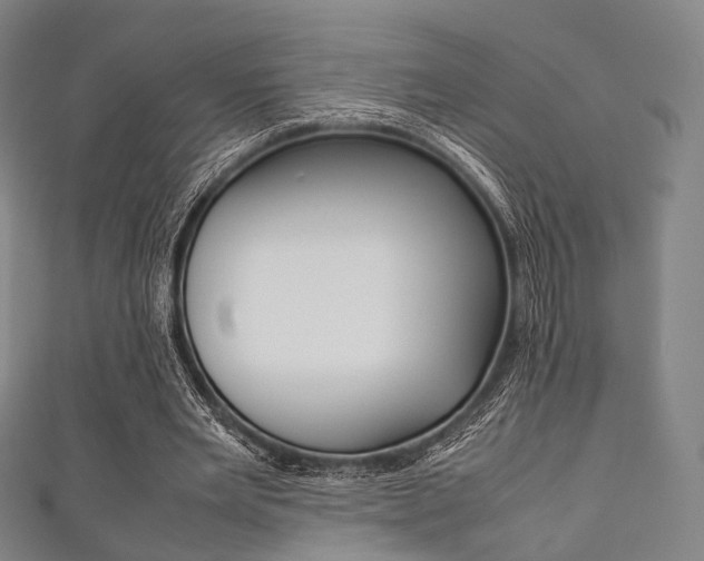 X0000111860485200907231134