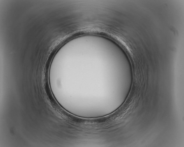 X0000111860487200907231134